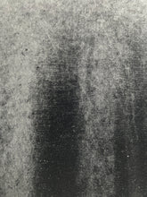 Load image into Gallery viewer, TSUMORI CHISATO Mock Neck Velvet L/S Tee GTMP338
